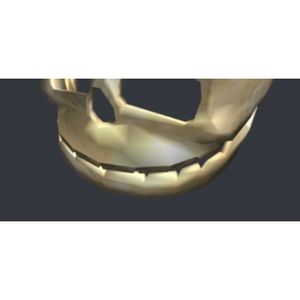 Meet your Posher, Rylan